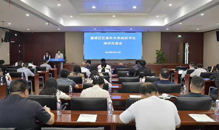 公司職能黨支部書記、黨群綜合部副部長（主持黨建工作）周葵主持會(huì)議.jpg